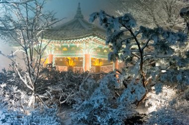 Namsan park tower Seoul Korea, kar yağışı
