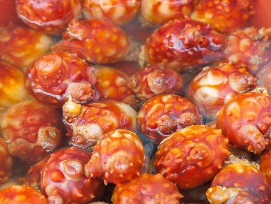 Taze deniz hayvanı kabuğu-balık ve akvaryum geleneksel Kore deniz ürünleri Restoran, Jeju Adası, Güney Kore, yumuşakçalar canlı