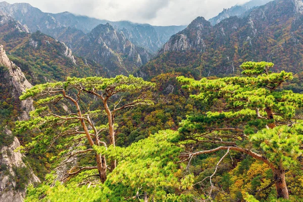 Seorak fall view in the morning light, Seoraksan National Park, — Stock Photo, Image