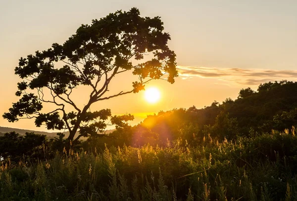 Vista tramonto dell'isola russa Putyatin — Foto Stock