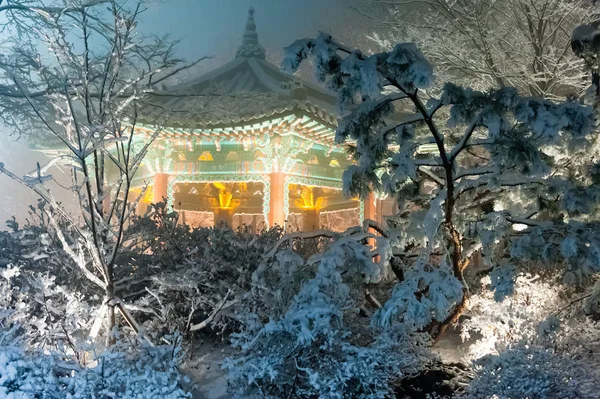 Снегопад в парке башни Намсан в Сеуле — стоковое фото