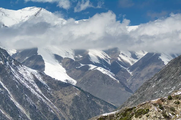 Het panorama van de bergwereld van Nationaalpark Ala-Archa in — Stockfoto
