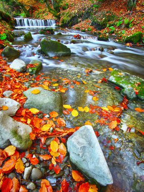 Dağ nehir rapids ve şelaleler Sonbahar zaman zaman
