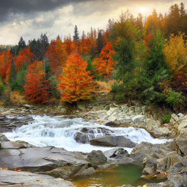 Sonbahar zaman nehir dağ manzarası