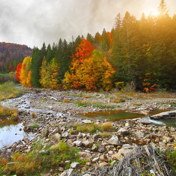 Blick auf Gebirgsfluss zur Herbstzeit — Stockfoto