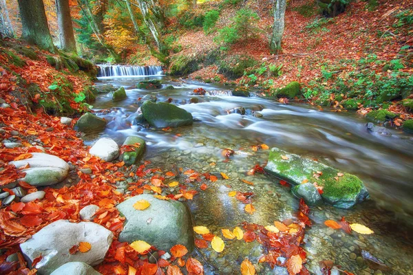 Швидка гірська річка восени — стокове фото