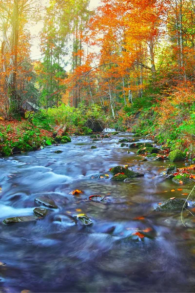 Rapid mountain river in autumn — Stock Photo, Image