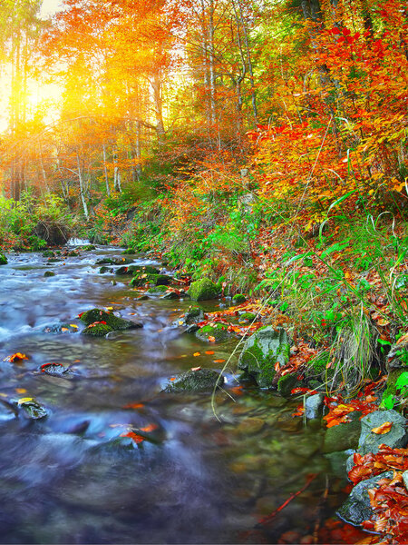 rapid mountain river in autumn