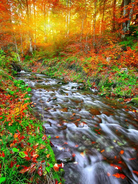Rivière de montagne rapide en automne — Photo