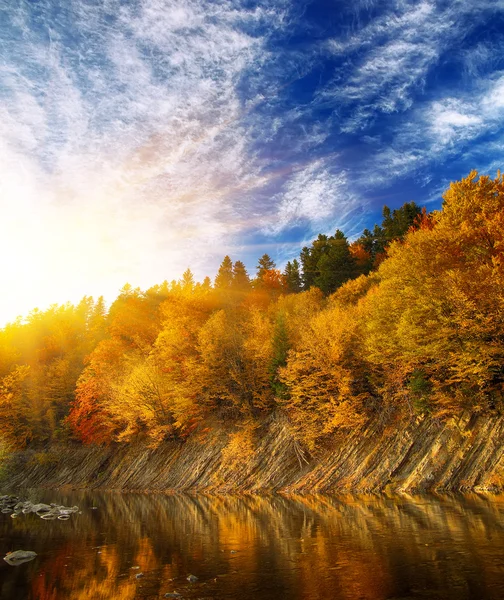 Forêt d'automne au bord de la rivière — Photo