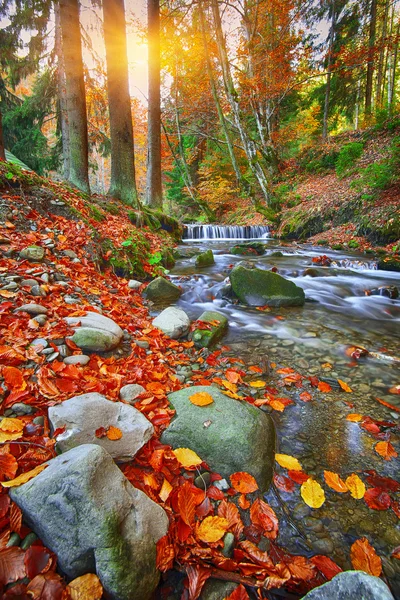 Rio da montanha com corredeiras e cachoeiras no horário de outono — Fotografia de Stock