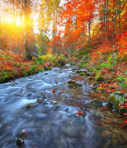 秋の急激な山川 — ストック写真