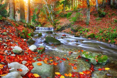 Dağ nehir rapids ve şelaleler Sonbahar zaman zaman