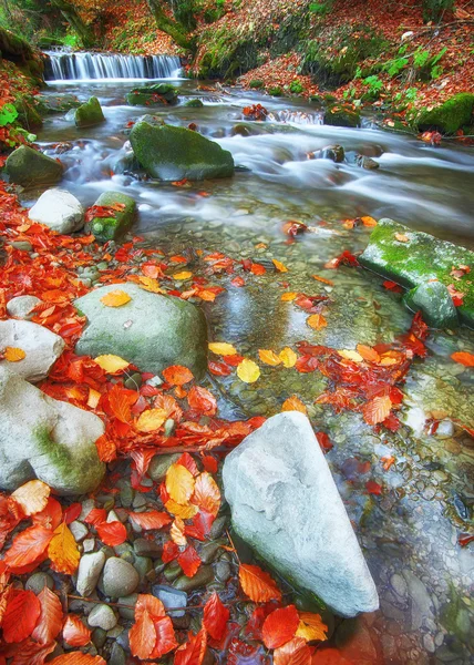 Rapid mountain river in autumn — Stock Photo, Image