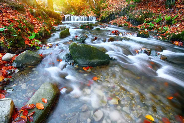 Rapid mountain river in autumn — Stock Photo, Image