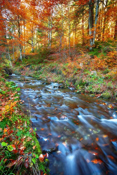 Fiume di montagna rapido in autunno — Foto Stock