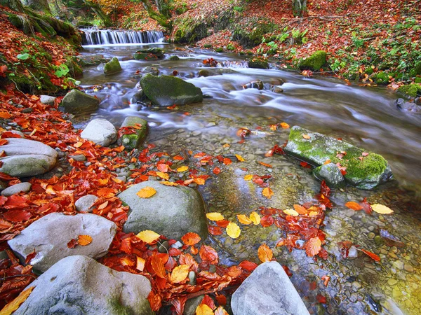 Rapid mountain river in autumn — Stock Photo, Image