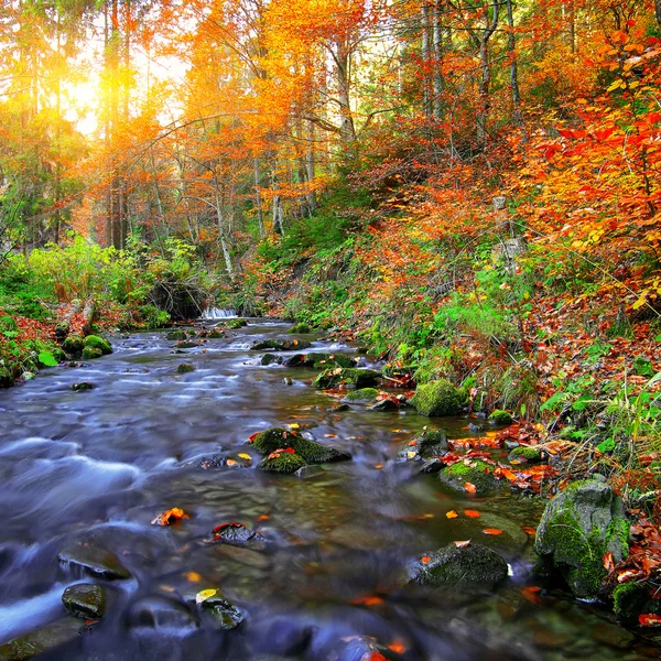 Fiume di montagna rapido in autunno — Foto Stock