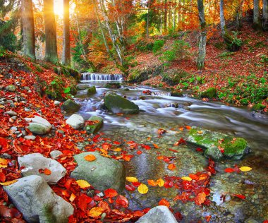 Dağ nehir rapids ve şelaleler Sonbahar zaman zaman
