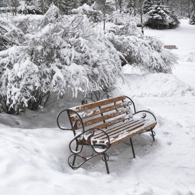 Karla kaplı tezgah kış günü şehir Park