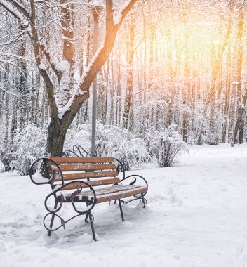 Park bankı ve ağaçlar yoğun karla kaplı.