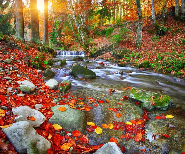 Fiume di montagna con rapide e cascate in autunno — Foto Stock
