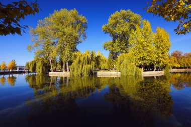 Gür yeşil Woodland Park güneşli sakin gölet