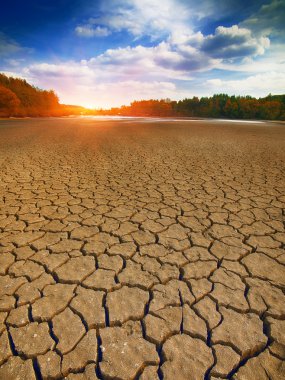 toprak zemin kuru ve kırık