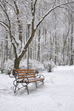 Park bankı ve ağaçlar yoğun karla kaplı.