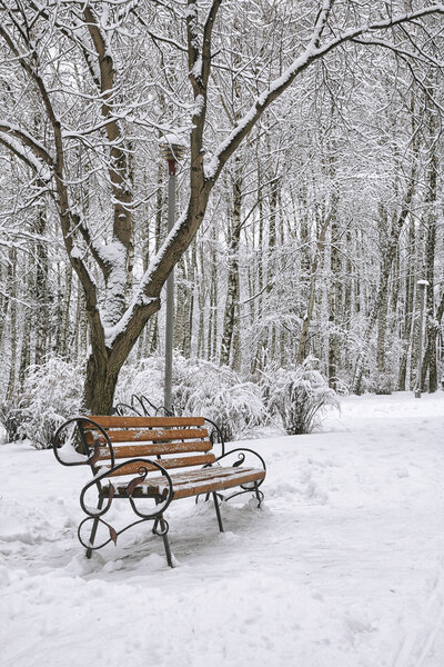 Park bench and trees covered by heavy snow. Lots of snow