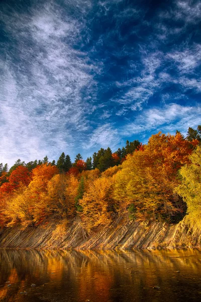 Forêt d'automne au bord de la rivière — Photo