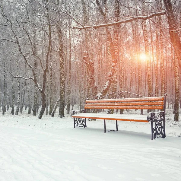 Park bench and trees covered by heavy snow