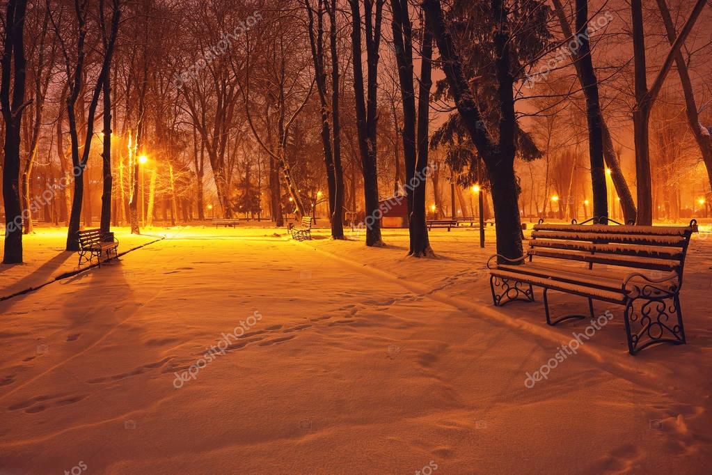 Winter Park With Benches Covered With Snow In The Evening Stock Photo Image By C Pilat666