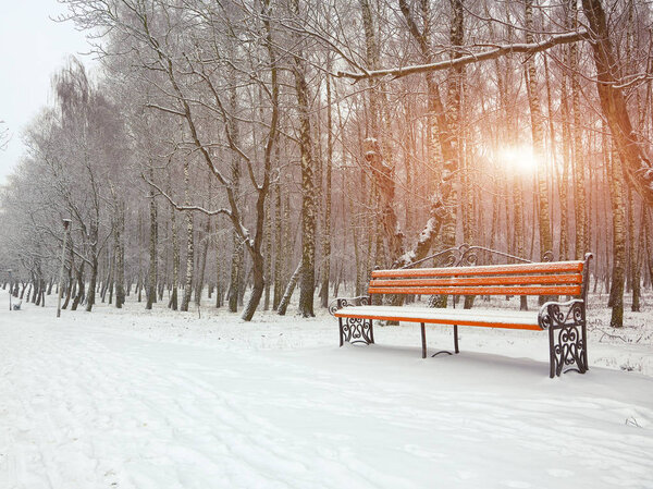 Park bench and trees covered by heavy snow