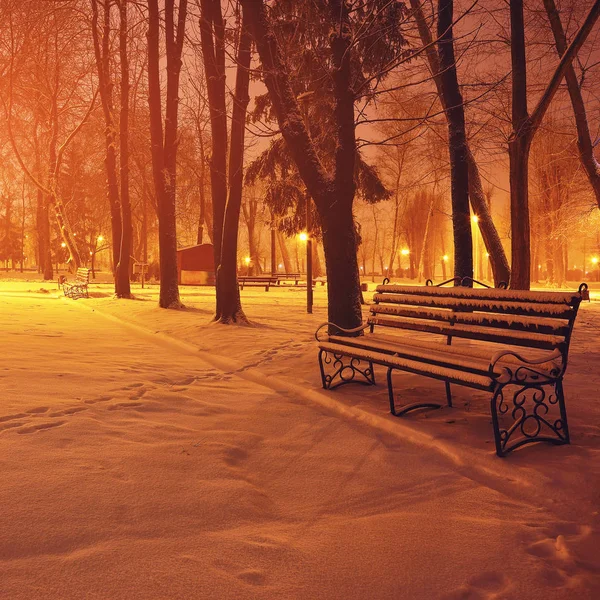 夕方には雪で覆われた冬の公園のベンチで. — ストック写真