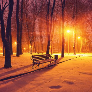 Winter park banklar ile akşam karla kaplı.