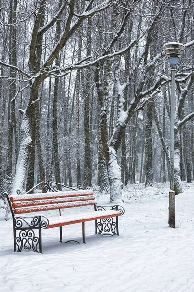 Скамейка в парке и деревья, покрытые сильным снегом — стоковое фото