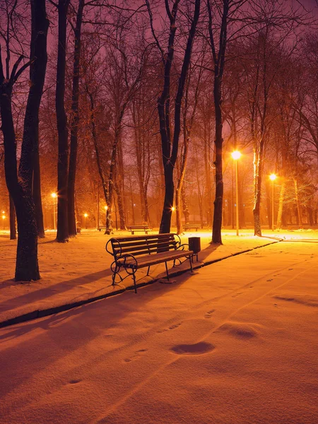 Вечером зимний парк со скамейками, покрытыми снегом . — стоковое фото