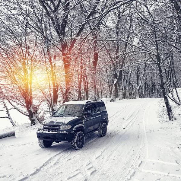 Enda bilen på en vinterväg i skogen — Stockfoto
