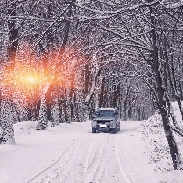 Enda bilen på en vinterväg i skogen — Stockfoto
