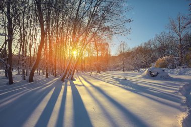 Güzel kış günbatımı Karda ağaçlarla