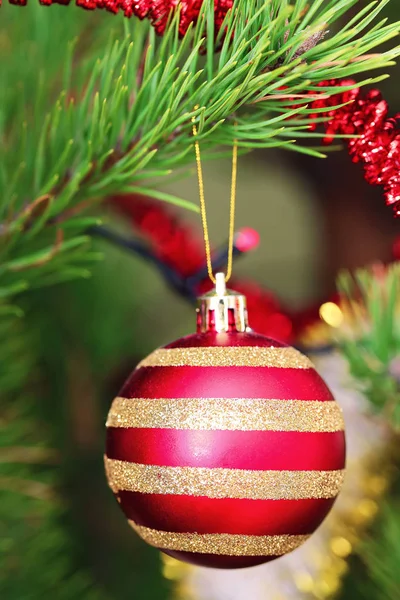Czerwona świąteczna piłka wisi na choince. — Zdjęcie stockowe