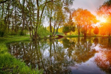 Gür yeşil Woodland Park güneşli sakin gölet