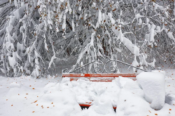 Banc du parc et arbres couverts de neige épaisse — Photo