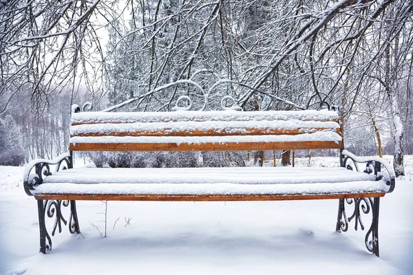 大雪に覆われた公園のベンチや木 — ストック写真