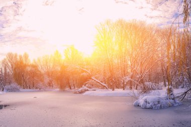 Söğüt ağacı ve ilk kar donmuş gölet manzaralı görünüm