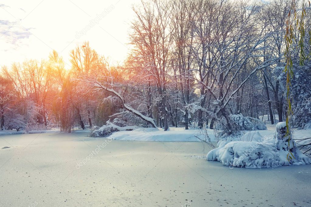 Scenic view of the frozen pond with willow tree and first snow