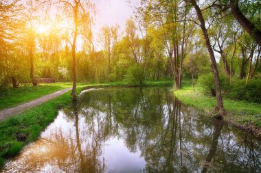 Gür yeşil Woodland Park güneşli sakin gölet