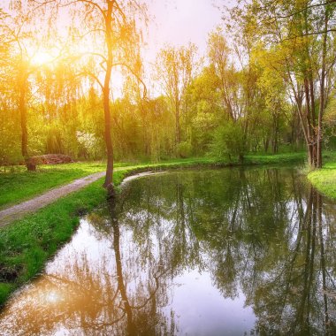 Gür yeşil Woodland Park güneşli sakin gölet