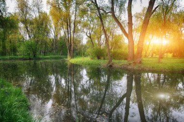 Gür yeşil Woodland Park güneşli sakin gölet